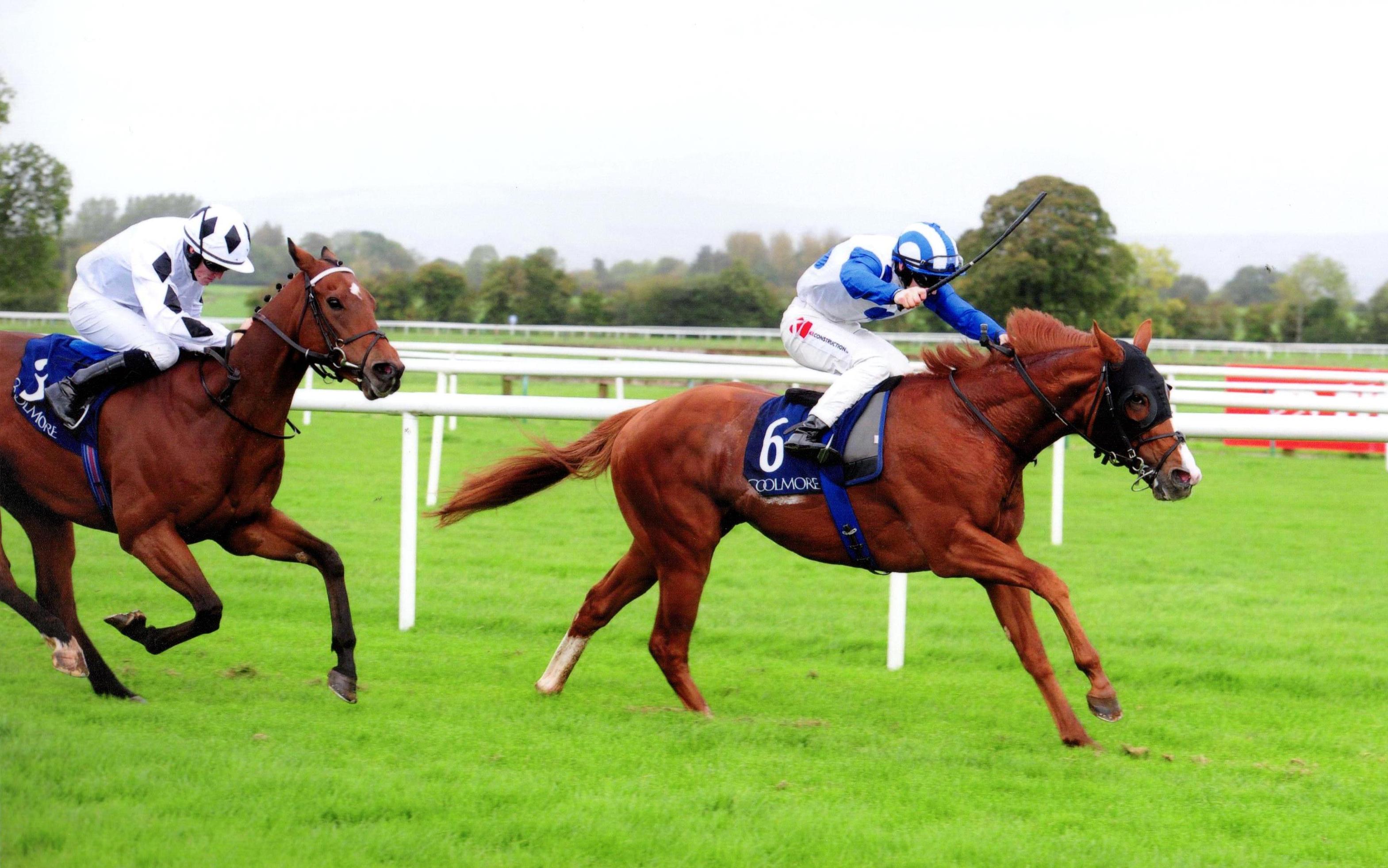 PSYCHEDELIC FUNK earns Group 3 success at Tipperary 1st October 2017